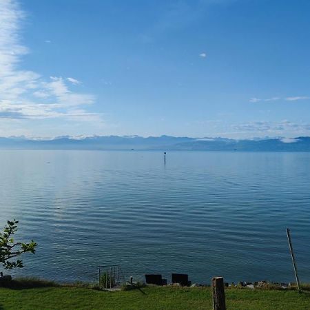 Birkhofer See Geniessen - Haus Seehang Immenstaad am Bodensee Zewnętrze zdjęcie
